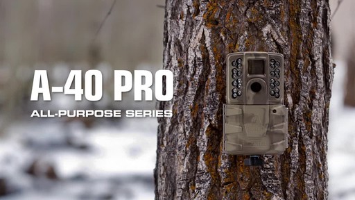Moultrie A-40 Pro Trail/Game Camera Bundle - image 1 from the video